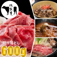 B10-130 佐賀牛切り落としスライス肉（600g）つるや食品