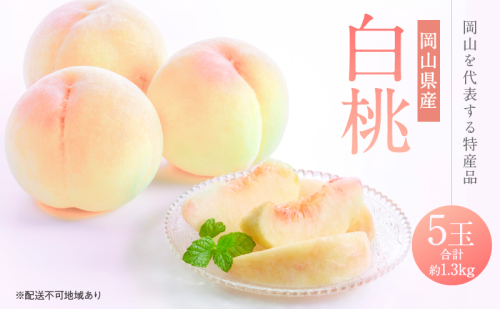 桃 2026年 先行予約 白桃 5玉 合計約1.3kg もも モモ 岡山県産 国産 フルーツ 果物 ギフト 66364 - 岡山県里庄町