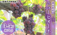 ニューピオーネ（種無し）約2kg（3～5房） 岡山県産 葡萄 ぶどう 果物 フルーツ 2023年 先行予約