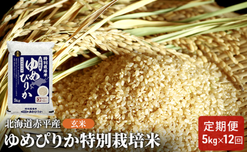 玄米 北海道赤平産 ゆめぴりか 5kg 特別栽培米 【12回お届け】 米 北海道 定期便 ふるさと納税 お米  66413 - 北海道赤平市