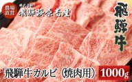 たっぷり大容量！飛騨牛カルビ焼肉用（1kg）最高級 国産 牛肉 ブランド牛  和牛 焼き肉用 ギフト 贈答 【冷凍】