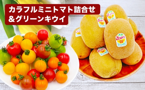 「栗林農園」カラフルミニトマトとグリーンキウイのセット 664255 - 愛媛県東温市