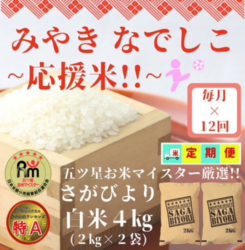 CI909 【みやきなでしこ】応援米【１２回定期便】さがびより白米４kg（２kg×２袋） 664262 - 佐賀県みやき町