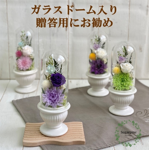 AJ126  プリザーブドフラワー　和花　うす紫 664410 - 埼玉県春日部市