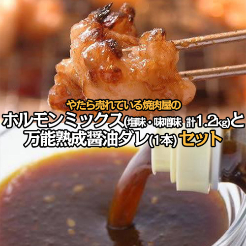 "やたら売れてる"焼肉屋のホルモンミックス(250g×4)と万能熟成醤油ダレ(1本)セット FY22-581 664579 - 山形県山形市