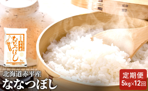 北海道赤平産 ななつぼし 5kg 【12回お届け】 精米 米 北海道 定期便 お米 ふるさと納税  66479 - 北海道赤平市
