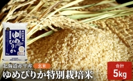 玄米 北海道赤平産 ゆめぴりか 5kg 特別栽培米 米 北海道