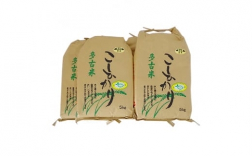 ＜令和4年産＞特別栽培米コシヒカリ多古米　玄米20kg【1030398】