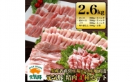 千葉県産豚肉　元気豚 精肉4種セット＜大盛り＞　2.6kg【1301354】
