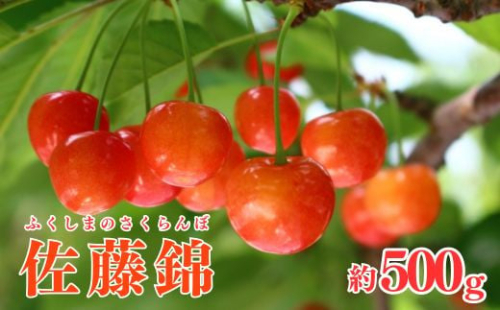 No.2611さくらんぼ(佐藤錦)約500g【2025年発送　先行予約】