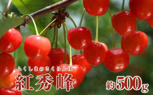 No.2612さくらんぼ(紅秀峰)約500g【2025年発送　先行予約】