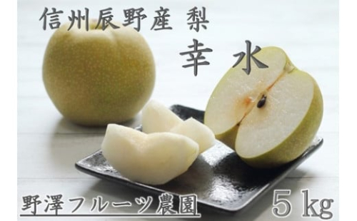 227 梨 幸水 ５㎏ 【野澤フルーツ農園】８月下旬～９月初旬発送　数量限定