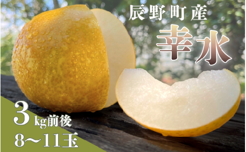 227 先行予約! 梨 幸水  【野澤フルーツ農園】９月初・中発送　数量限定