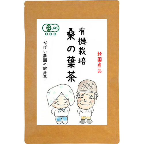 有機栽培 桑の葉茶：A095-016 66689 - 佐賀県佐賀市