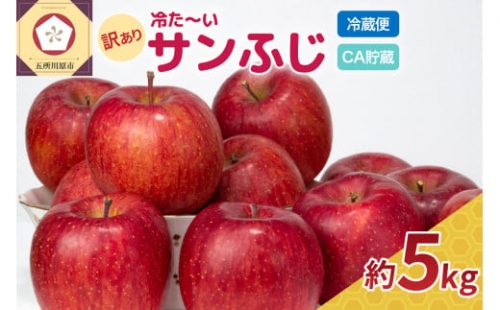 【4月・5月発送】訳あり りんご5kg程度 糖度13度以上 青森 冷た～いサンふじクール便 666945 - 青森県五所川原市