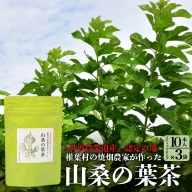 【世界農業遺産の産物】焼畑農家がつくった山桑の葉茶 スティックタイプ 10本入り×3袋【桑茶】