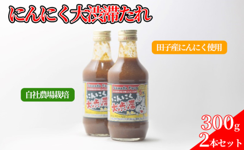 沢田ファーム にんにく大渋滞たれ 300g 2本セット【自社農場栽培の田子産にんにく使用】 667156 - 青森県田子町