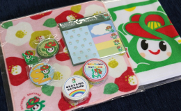 里庄町のキャラクター「里ちゃん」の缶バッジ、ピンバッジ、マスキングテープ、ふせんセット、ミニタオル、マフラータオルのセットです。 【里ちゃんのプロフィール】 誕生日：平成12年11月3日 性格：恥ずか