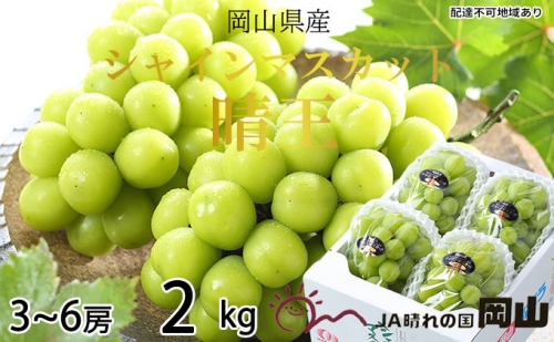 シャインマスカット 晴王 3房～6房 約2kg 岡山県産 葡萄 ぶどう 果物 フルーツ 2023年 先行予約
