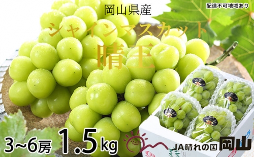 シャインマスカット 晴王 3房～6房 約1.5kg 岡山県産 葡萄 ぶどう 果物 フルーツ 2023年 先行予約