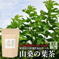 【世界農業遺産の産物】焼畑農家がつくった山桑の葉茶 ティーバック 10パック×3袋【桑茶】