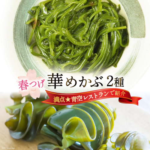 ＼満点★青空レストランで紹介／ 春つげ華めかぶ セット （千切りメカブ・削ぎメカブ) [第38漁徳丸 宮城県 気仙沼市 20565075] 海藻 メカブ めかぶ 魚介類 芽株 三陸めかぶ 食べ比べ 冷蔵 667449 - 宮城県気仙沼市