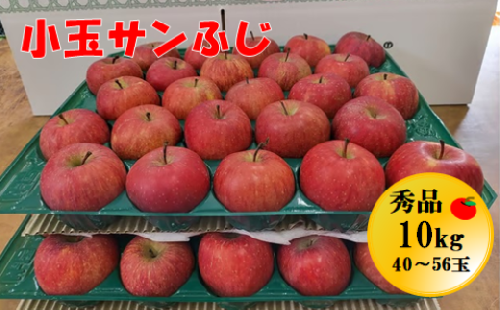 08-05-015　りんご(小玉サンふじ)約10kg