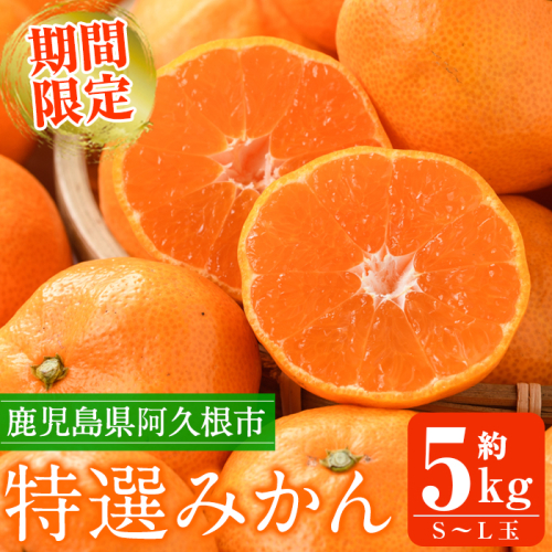 ＜先行予約受付中！2025年10月上旬以降順次発送予定＞数量限定！鹿児島県産 特選みかん(計約5kg) 国産 鹿児島県産 阿久根市産柑橘 果物 くだもの フルーツ 蜜柑 ミカン デザート 旬 数量限定 期間限定 手詰め 手詰【三笠農業生産】a-18-39-z 667769 - 鹿児島県阿久根市