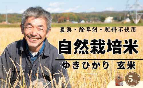 【玄米】自然栽培米 角田玄米 ゆきひかり 5kg 《厚真町》 【カクタファーム】 米 お米 玄米 ゆきひかり ご飯 北海道 [AXAR006] 