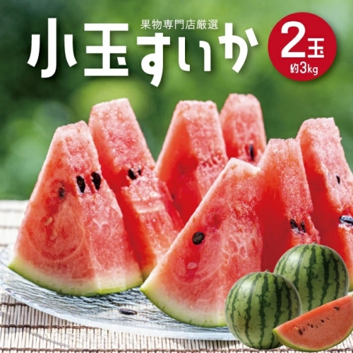 SA1635　酒田の果物専門店厳選　庄内産 小玉すいか　約3kg(2玉入)