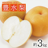 SA2564　酒田の果物専門店厳選　刈屋産 豊水梨　約3kg(7～9玉入)