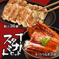 【スタミナセット】カットうなぎ3袋、餃子36個