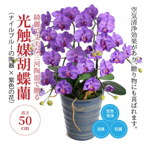 綺麗で丈夫な三河陶器で贈る 光触媒胡蝶蘭(ナイルブルーの陶器×紫色の花) H100-004