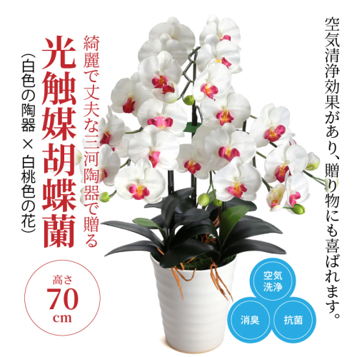 綺麗で丈夫な三河陶器で贈る 光触媒胡蝶蘭大輪３本立（白色の陶器×白桃色の花）　H100-077 66869 - 愛知県碧南市