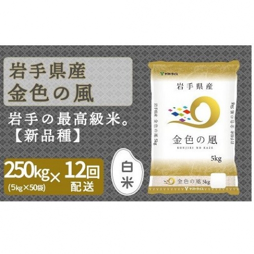 <安心安全なヤマトライス>岩手県産 金色の風5kg×50袋 ※定期便12回 H074-152