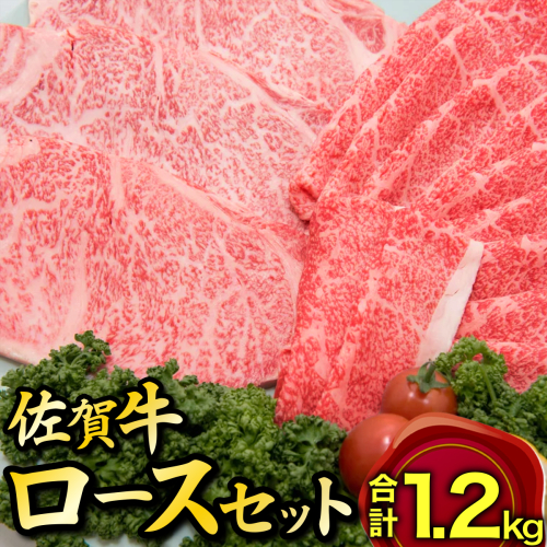 佐賀牛しゃぶすき用&ステーキセット M-36 668838 - 佐賀県上峰町