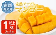 ＜数量限定＞完熟アップルマンゴー「紅」(計1kg) マンゴー 果物 フルーツ【大徳産業】 A389