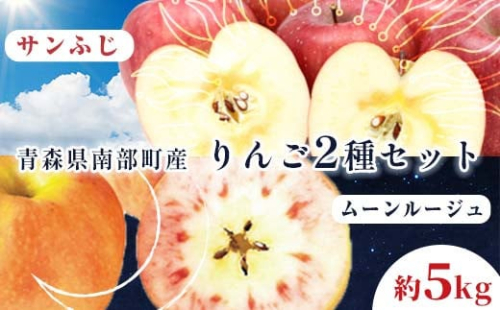 青森県 希少りんご サンふじ＆ムーンルージュ 約5kgセット 【泉山果樹園】 青森りんご ふじ ムーンルージュ リンゴ 林檎 アップル あおもり 青森 青森県 南部町 三戸 南部 果物 くだもの フルーツ 2種セット F21U-277