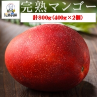 B-109　【季節限定】特選贈答完熟マンゴー 800g（400g×2個）(M-1) 7月下旬以降発送