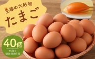 王様の大好物 たまご 40個 ( 35個＋破卵保障5個 ) 福岡県産 国産 にわとり 卵かけご飯 ゆでたまご