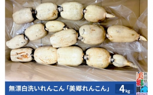 無漂白洗いれんこん「美郷れんこん」4kg