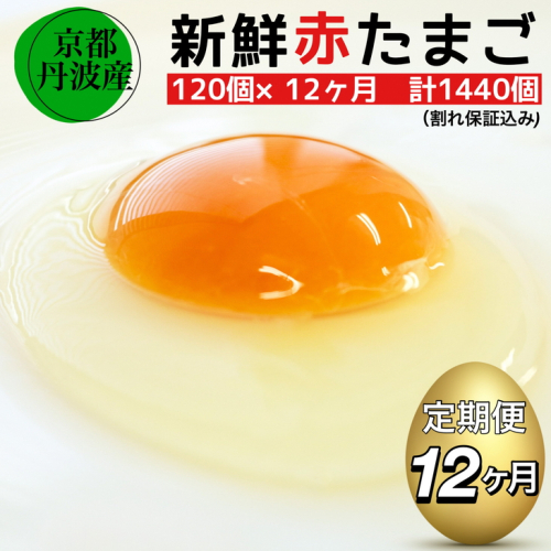 12回定期便】新鮮 卵 京都・丹波の赤たまご 120個（100個＋割れ保障20