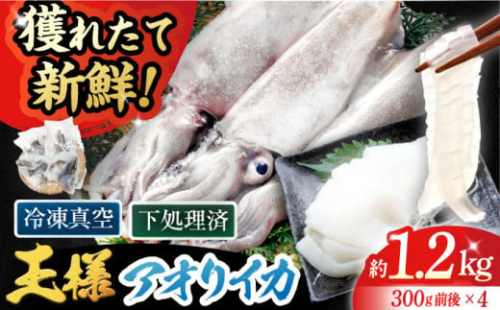 【イカの王様】アオリイカ 300g前後×4杯 肉厚 イカ いか 水いか 小分け 下処理済 冷凍 刺身 冷凍 真空パック  五島市/金沢鮮魚 [PEP005]