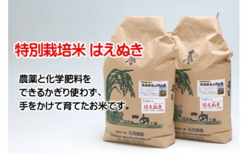 石垣農園の特別栽培米はえぬき10kg 67054 - 山形県庄内町