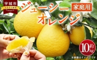 ジューシーオレンジ（河内晩柑）家庭用 10kg のむちゃん農園【4月上旬～7月上旬発送予定】