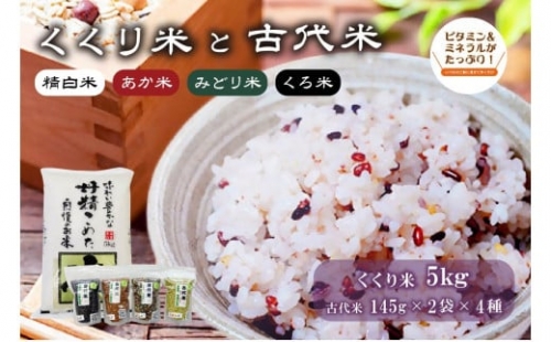 くくり米5kg と古代米（玄米　145g × 2袋 × 4種）のセット | 精白米 あか米 みどり米 くろ米 可児そだち