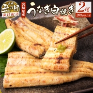 前日配送［土用丑の日］うなぎ白焼きギフト 2尾（200g以上/1尾あたり) 宮崎県産鰻 蒲焼たれ付【N34】