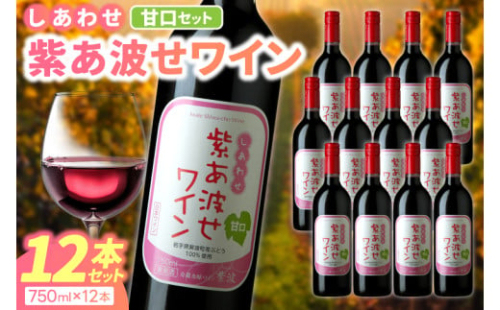 赤ワイン 甘口 12本 セット 紫あ波せ ワイン (しあわせワイン) ぶどう 自園自醸 ワイン紫波 (AL097)