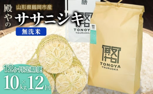 【令和7年産先行予約】【定期便12ヶ月】 殿やの 「ササニシキ」 無洗米 10kg (10kg×1袋) ×12ヶ月 山形県鶴岡市産　K-775