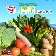 野菜 お楽しみ 5～7品目 詰め合わせ 阿波市 徳島県